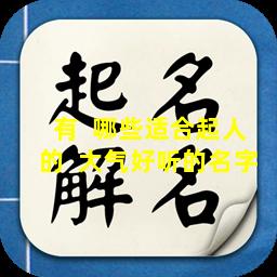 有  哪些适合起人的  大气好听的名字